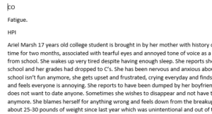 Ariel Marsh iHuman Case Study